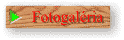fotogaleria